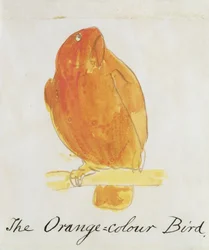 The Orange Colour Bird, from 